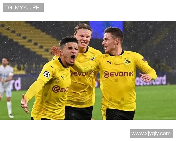 德甲精彩对决菲尔特迎战多特蒙德直播全程回顾与分析