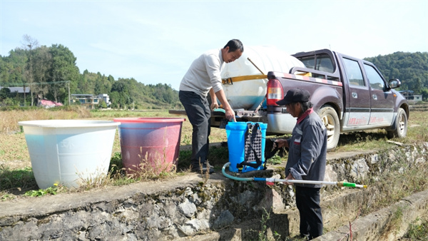 贵州岑巩：秋冬蔬菜管护忙土地轮作促增收(图5)