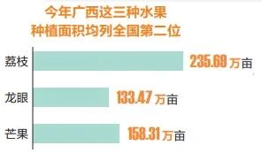 荔枝、龙眼近10种夏季水果已上市！广西人6月有望迎来“水果自由”(图1)