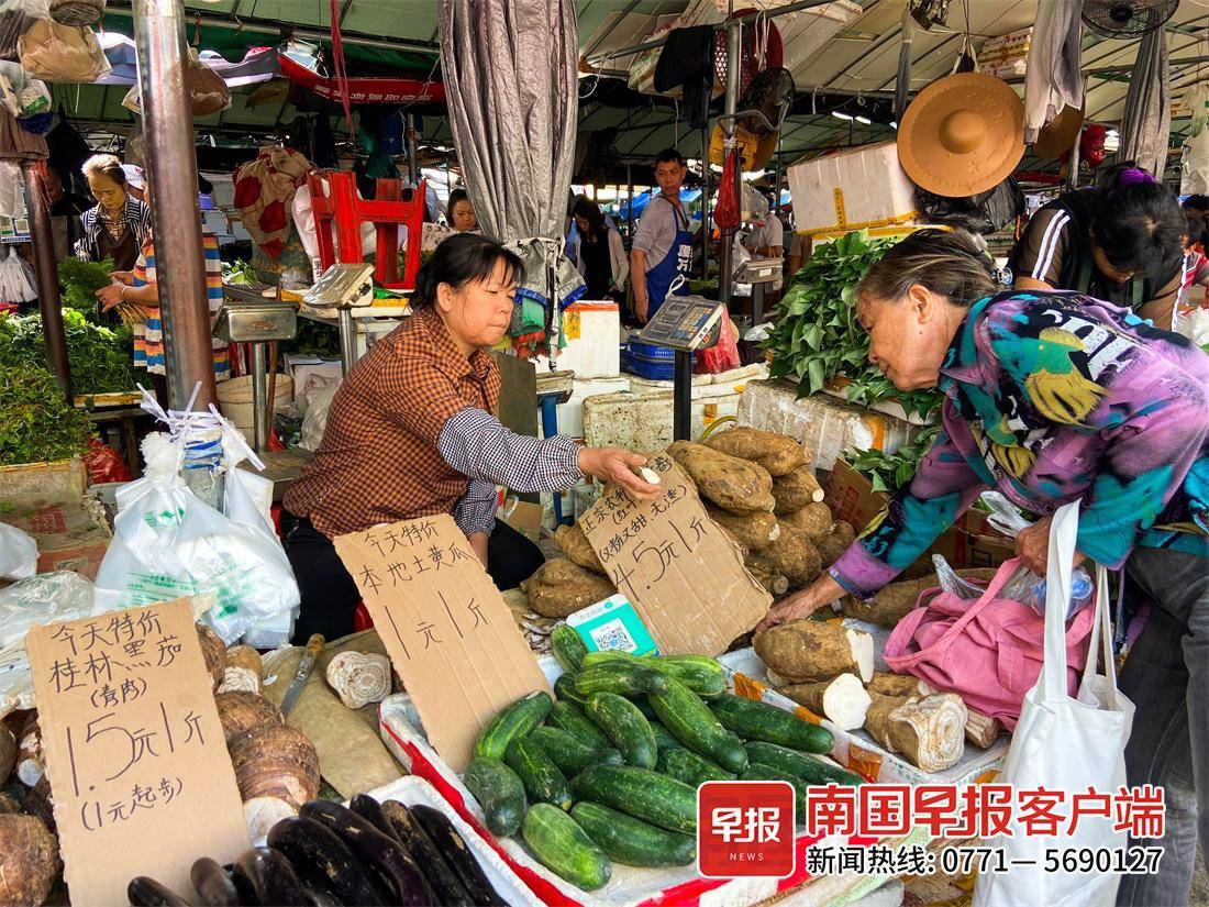 南宁蔬菜上市量增多 价格持续回落！降幅最大的是……(图2)