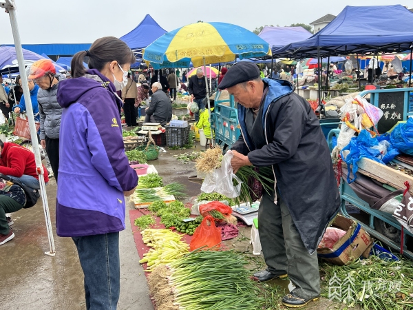 常州时令蔬菜陆续上市 开启冬季尝鲜模式(图4)