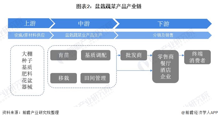 2020年中国盆栽蔬菜行业市场现状及发展趋势分析 行业产品种类不断扩大【组图】(图2)