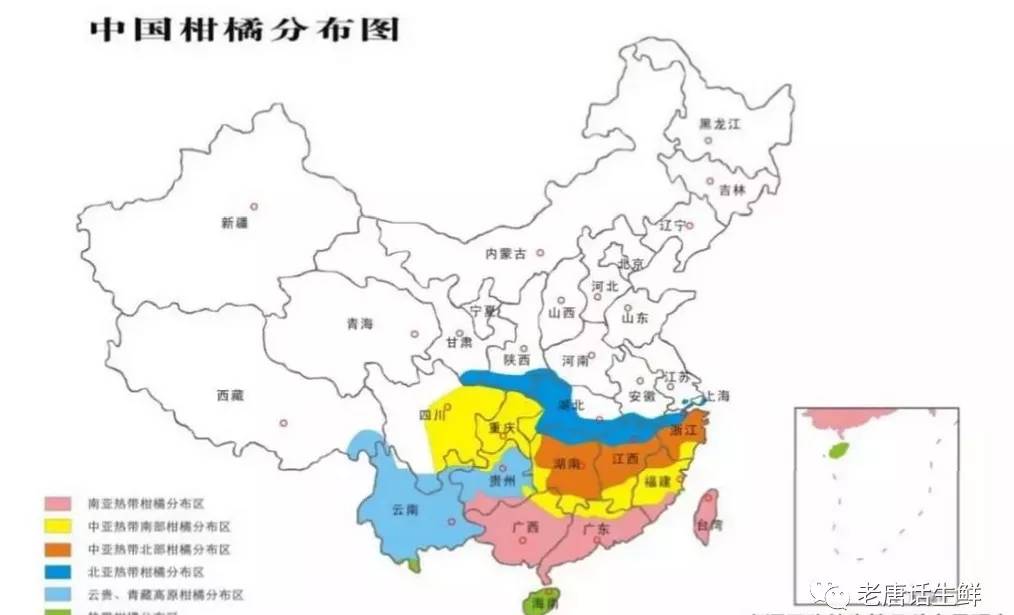 水果采购必须掌握的产地分布、品种区分、各品种不同产季等常识(图3)