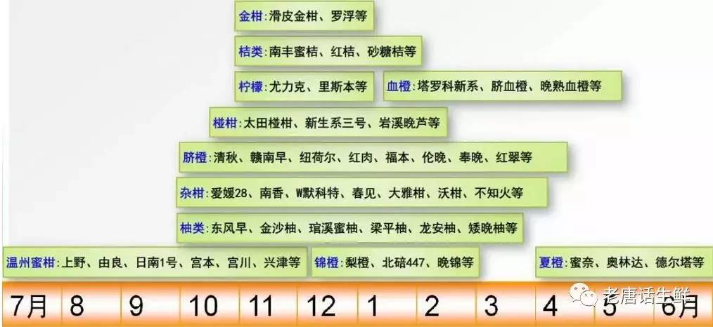 水果采购必须掌握的产地分布、品种区分、各品种不同产季等常识(图4)