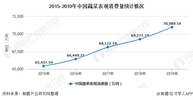 2020年中国蔬菜种植行业发展现状分析 产销量均呈现稳定增长态势(图5)