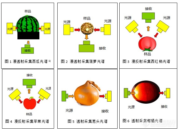 近红外引领果蔬分选技术实现飞跃(图2)