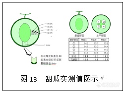 近红外引领果蔬分选技术实现飞跃(图10)