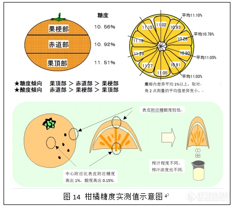 近红外引领果蔬分选技术实现飞跃(图11)