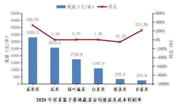 蔬菜种植成本及效益齐提升(图2)