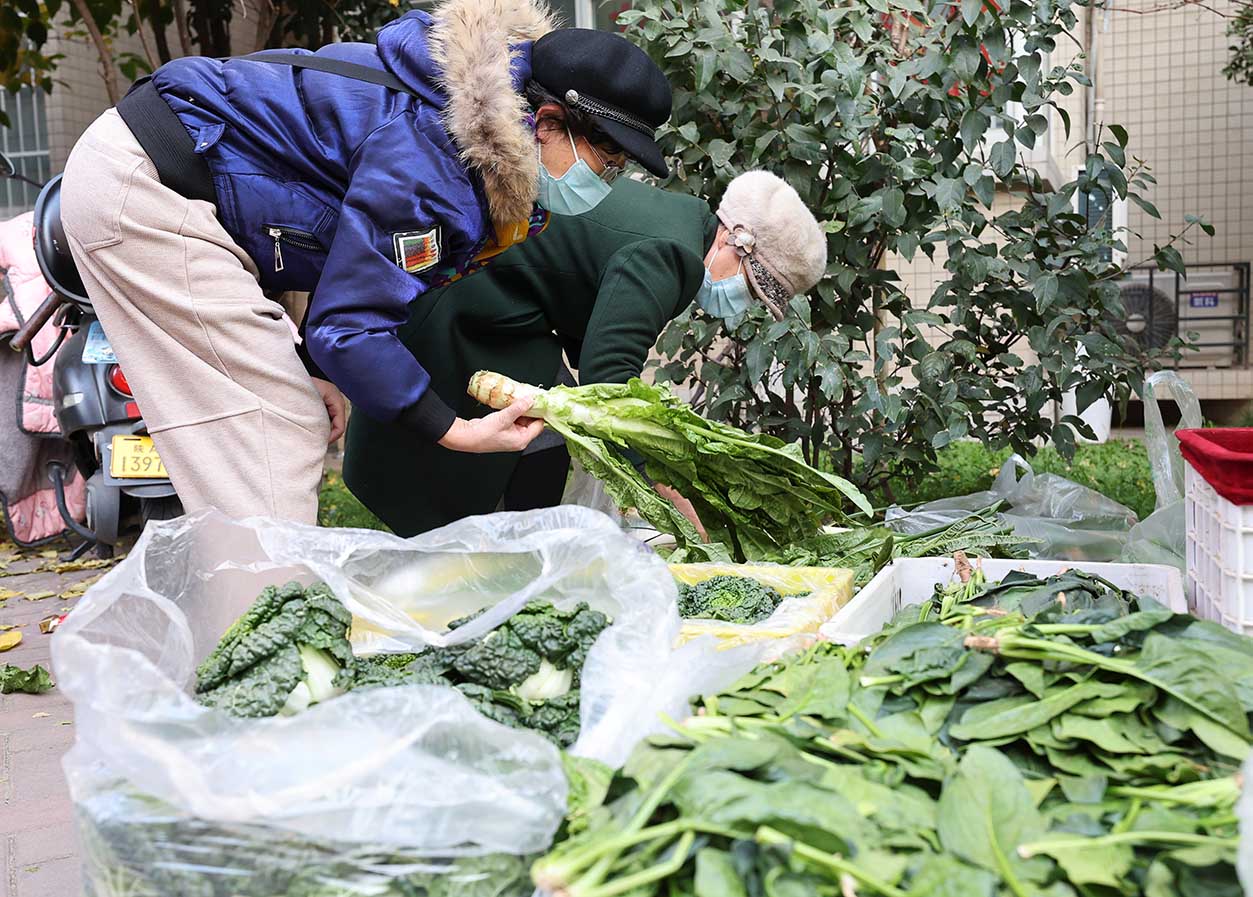 八步生态蔬菜品牌战略发布会暨名特优农产品产销对接活动在贺州举行