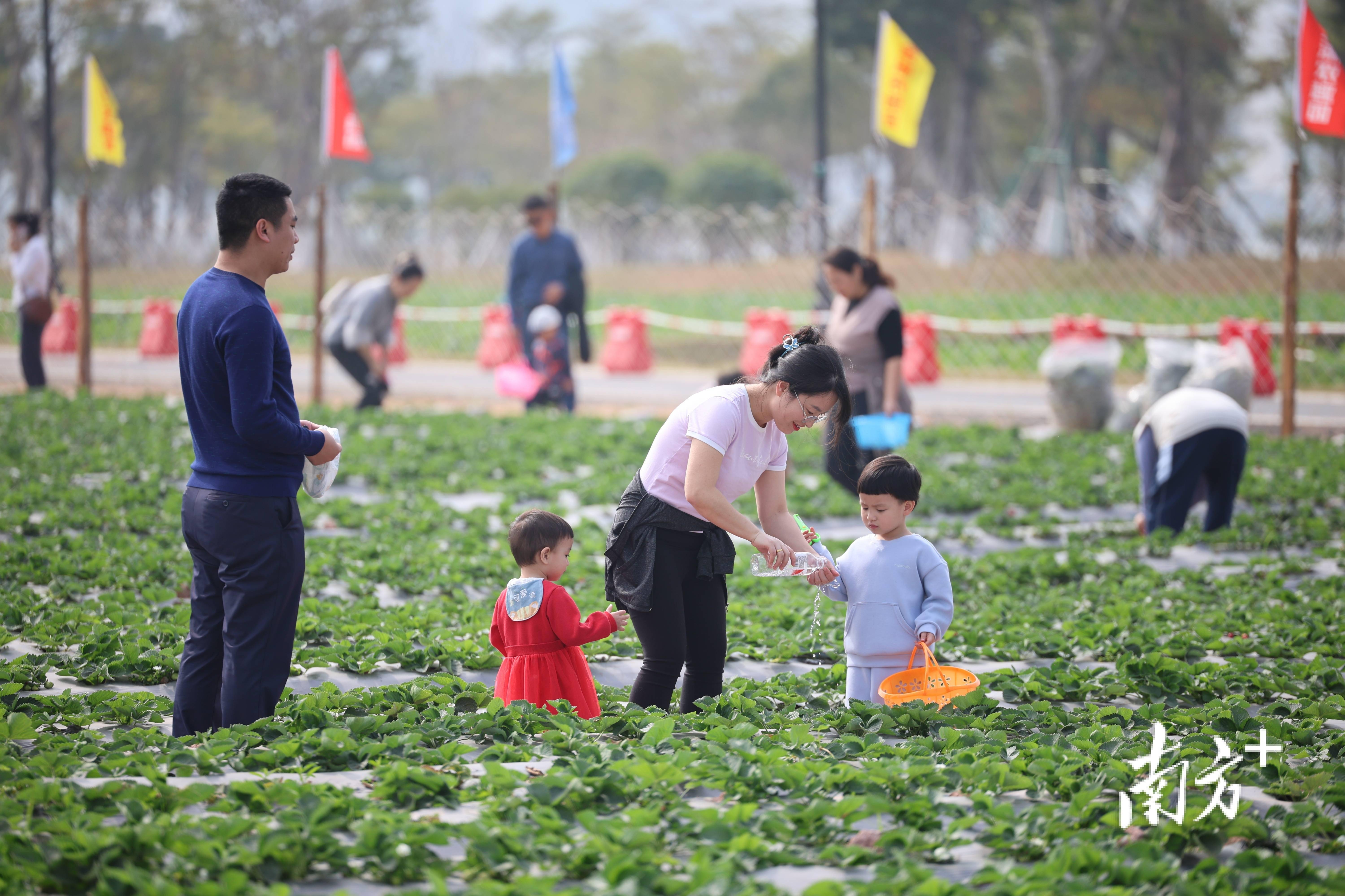 太适合周末溜娃了这里的水果好吃得停不下来｜多图(图1)