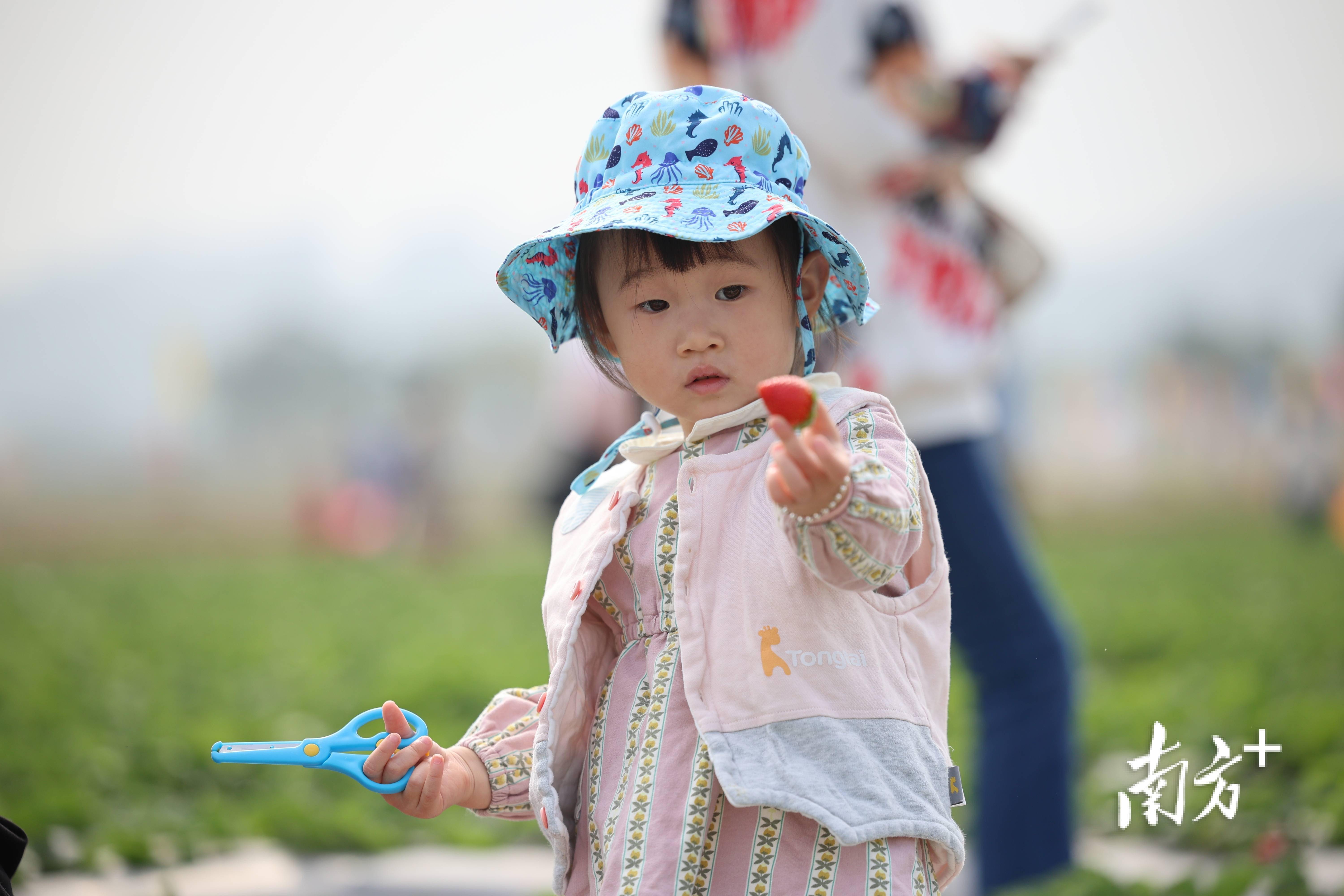 太适合周末溜娃了这里的水果好吃得停不下来｜多图(图3)