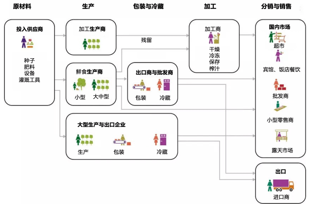 为什么水果和蔬菜的颜色很重要？(图2)