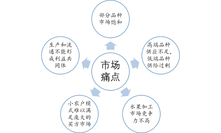 洞察2022：一文了解中国水果行业发展现状及趋势(附主要品种、重点产区等)(图10)