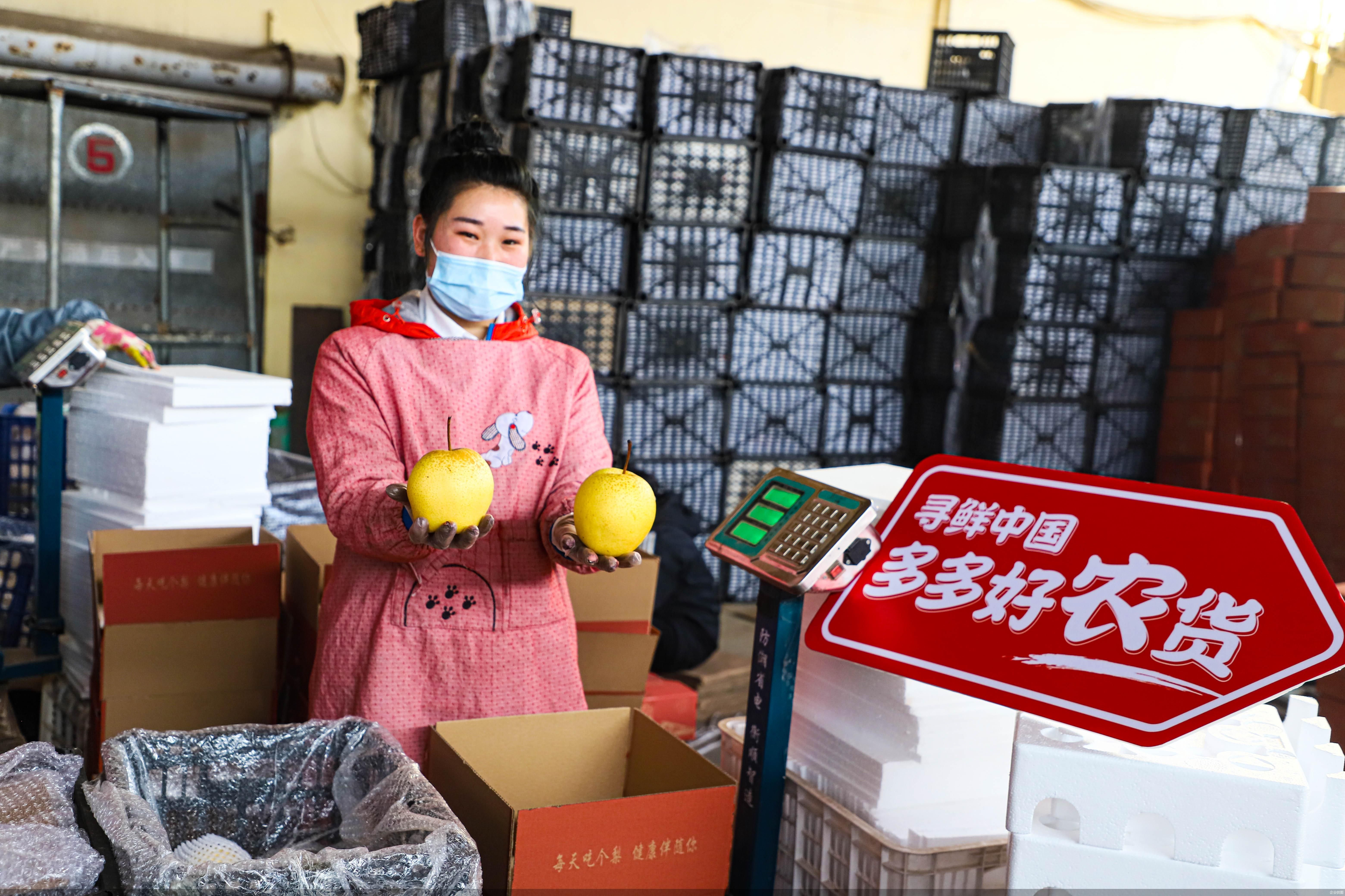 协同京津冀 升级大消费 一年卖出50万单雪花梨 京津冀“新农人”的电商进化史(图1)