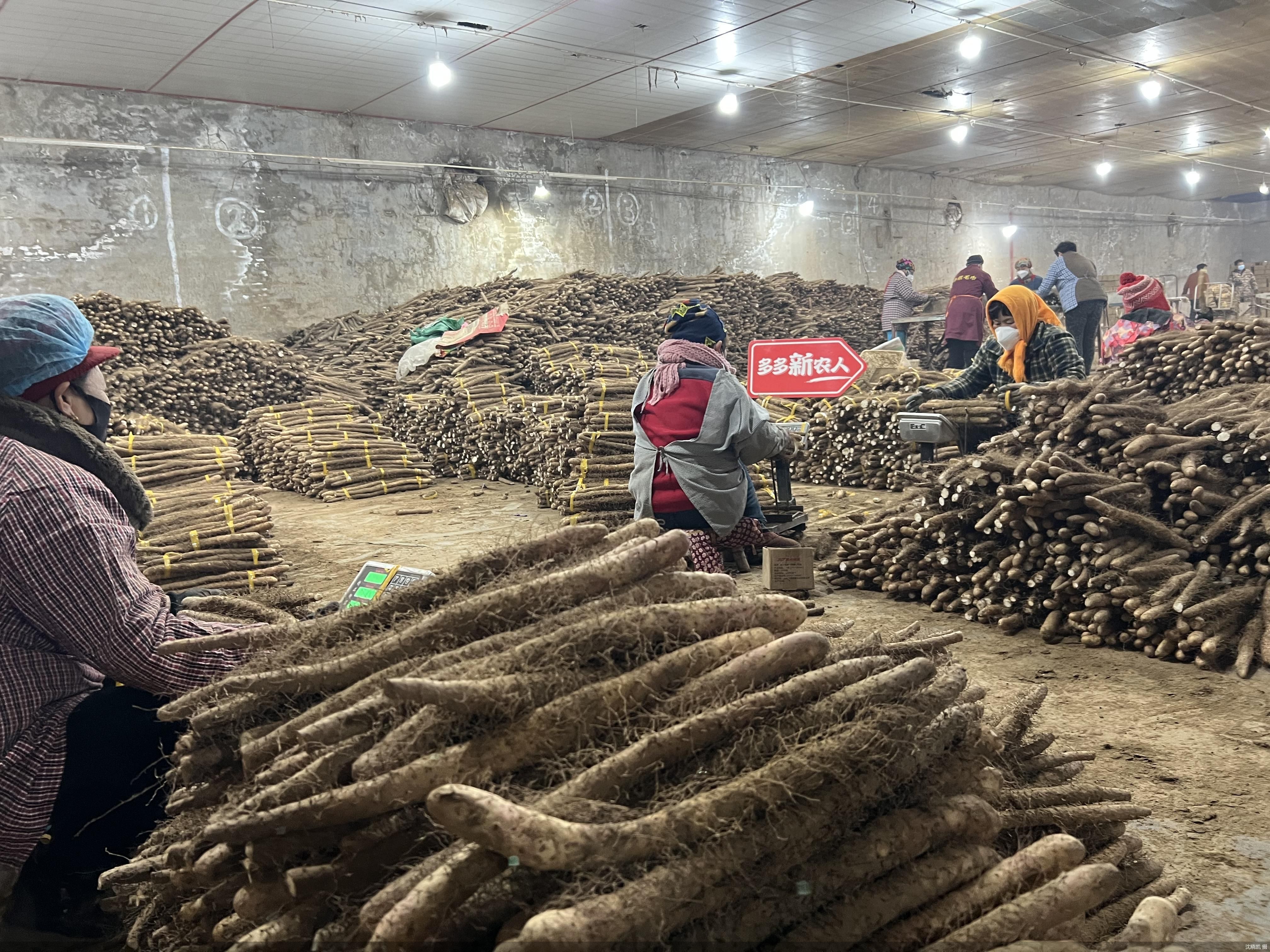 协同京津冀 升级大消费 一年卖出50万单雪花梨 京津冀“新农人”的电商进化史(图2)