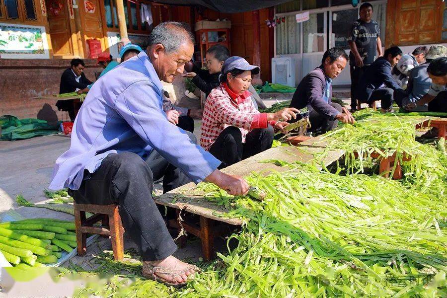 羊肚菌、枇杷 “抢鲜”上市！大理各地早春果蔬尝鲜正米乐m6当时(图8)