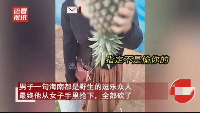 女子偷摘水果被农户发现还厚着脸皮说这是野生的！(图2)