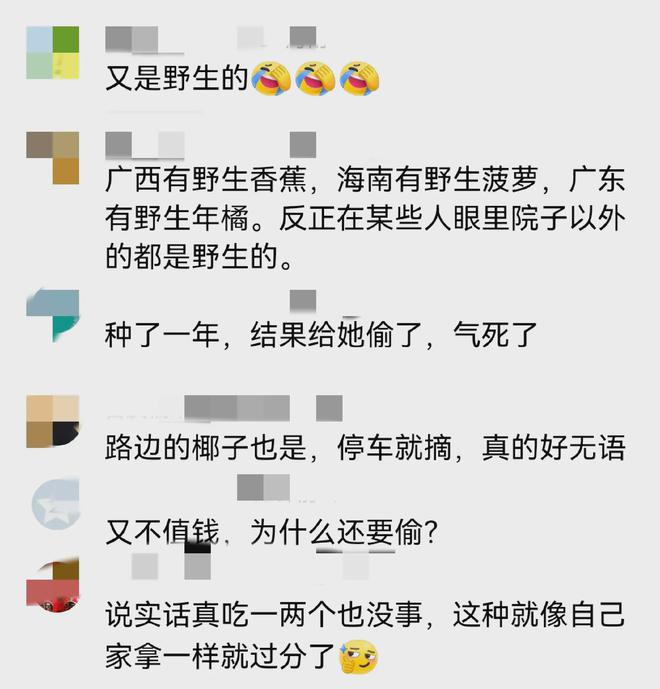 女子偷摘水果被农户发现还厚着脸皮说这是野生的！(图8)