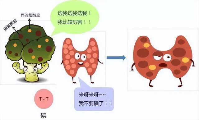 患有甲状腺疾病十字花科蔬菜到底能不能吃？(图3)