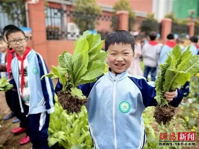 河南漯河：“小田地”里大丰收 菜园“蔬”香润心房(图1)