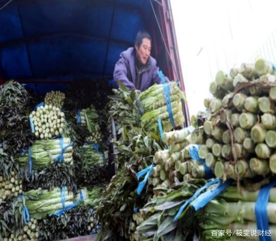 蔬菜放飞式上涨？3种蔬菜却低价卖不动到底是咋回事？(图8)