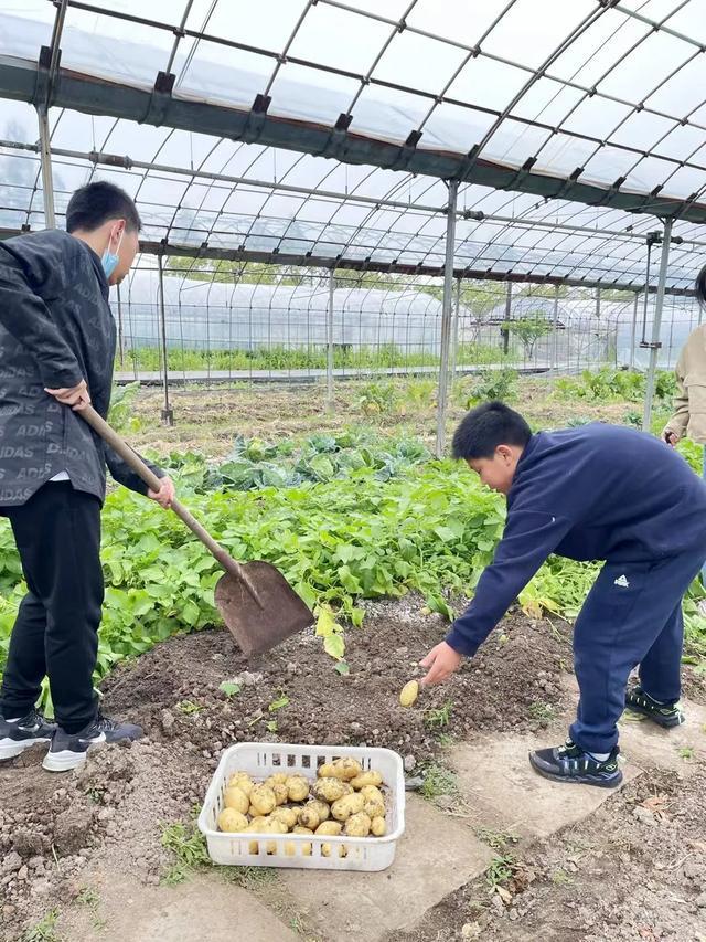 真稀奇！居然有“肉香味”的蔬菜(图4)