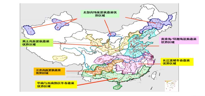 米乐m6官网大国蔬菜产业全景！(图2)