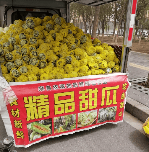 不远千里河北小伙贩运水果到中卫(图1)