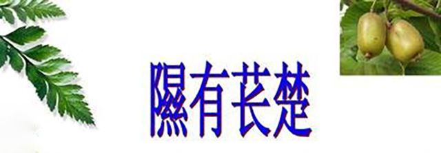 中国水果飘零海外如今天价辗转回国人们还不知道中国是原产(图1)