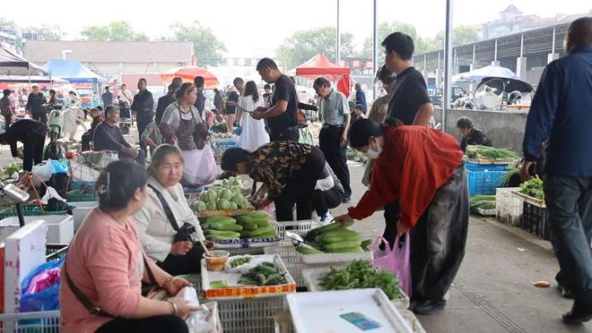 夏季蔬菜大量上市成为永康市民餐桌主角！(图1)