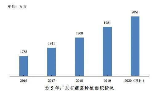 2020年蔬菜种植规模稳步提升！(图1)