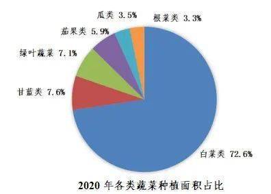 2020年蔬菜种植规模稳步提升！(图2)