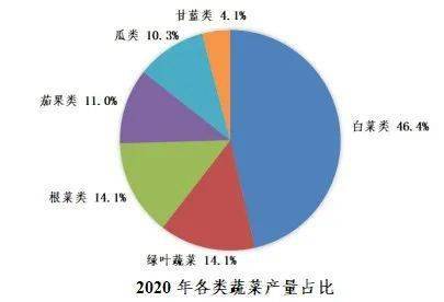 2020年蔬菜种植规模稳步提升！(图5)