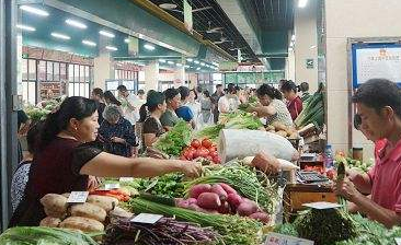 为啥今年蔬菜比往年贵那么多？看完应该就明白了(图3)